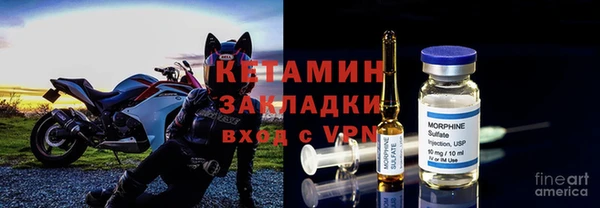 прущие грибы Балахна