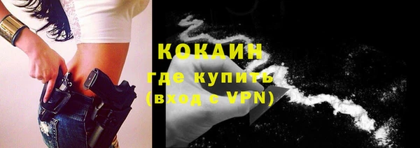 прущие грибы Балахна