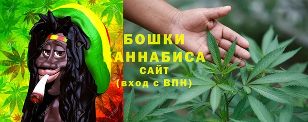прущие грибы Балахна