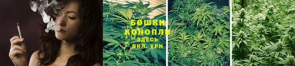 прущие грибы Балахна