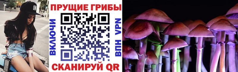 Галлюциногенные грибы Cubensis Шлиссельбург