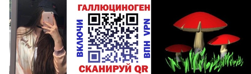 blacksprut зеркало  Шлиссельбург  Псилоцибиновые грибы Cubensis 
